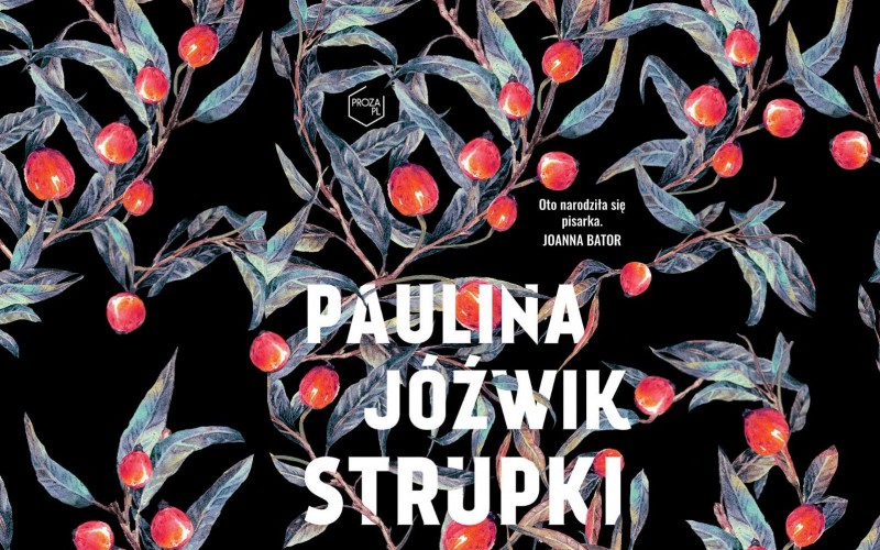 Grafika ilustrująca książkę „Strupki” - Paulina Jóźwik