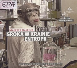 Sroka w krainie entropii