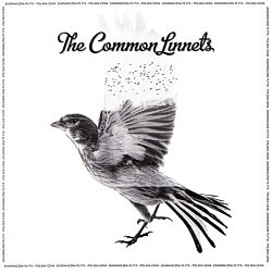 The Common Linnets