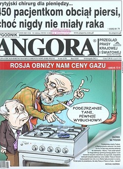 Skan okładki: Angora - Nr 46, 18 listopada 2012