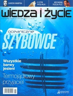 Skan okładki: Wiedza i Życie - Nr 11, listopad 2012
