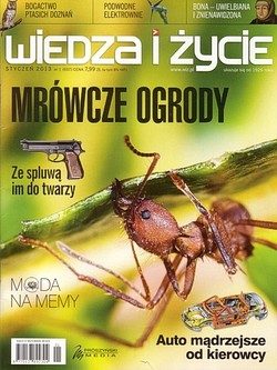 Skan okładki: Wiedza i Życie - Nr 1, styczeń 2013