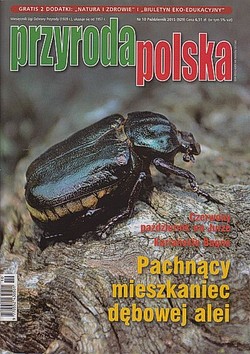 Skan okładki: Przyroda Polska - Nr 10, październik 2015