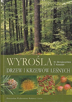 Skan okładki: Wyrośla drzew i krzewów leśnych