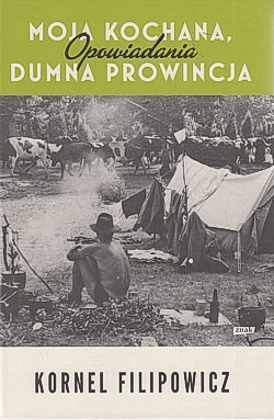 Moja kochana, dumna prowincja : opowiadania