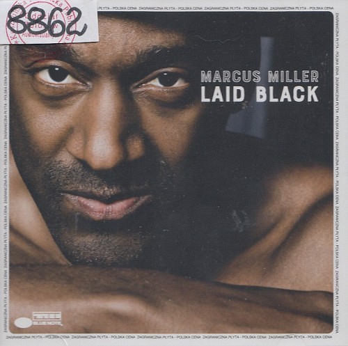 Laid Black Laid Black