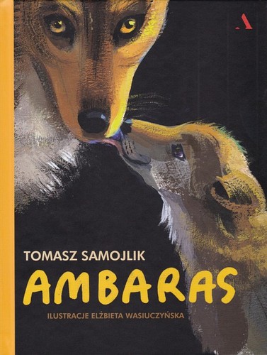 Ambaras