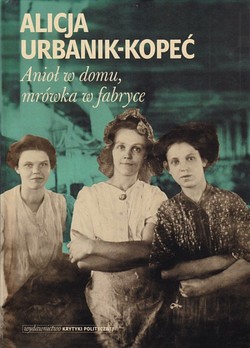Skan okładki: Anioł w domu, mrówka w fabryce