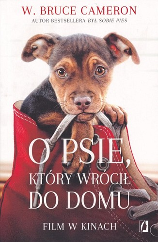 O psie, który wrócił do domu