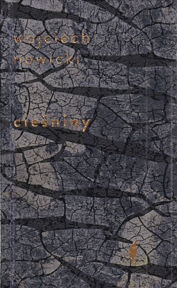 Skan okładki: Cieśniny