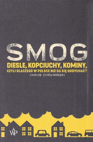 Smog : diesle, kopciuchy, kominy, czyli Dlaczego w Polsce nie da się oddychać?