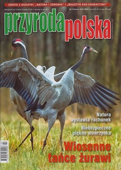 Skan okładki: Przyroda Polska - Nr 3, marzec 2020