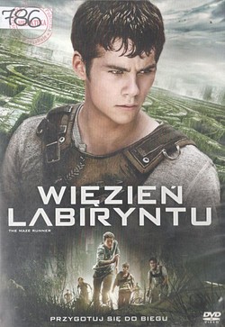 Skan okładki: Więzień labiryntu