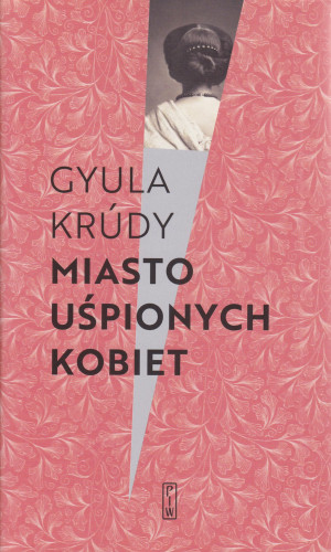 Miasto uśpionych kobiet : opowiadania i felietony
