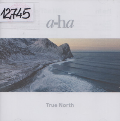 True North