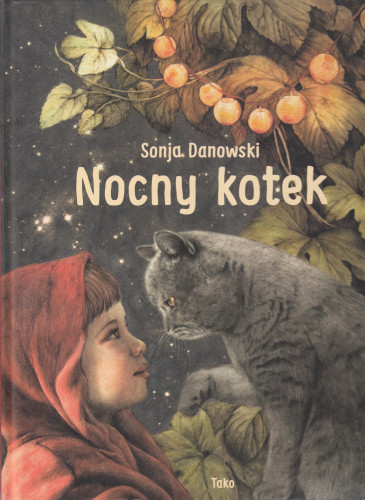 Nocny kotek