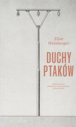 Duchy ptaków