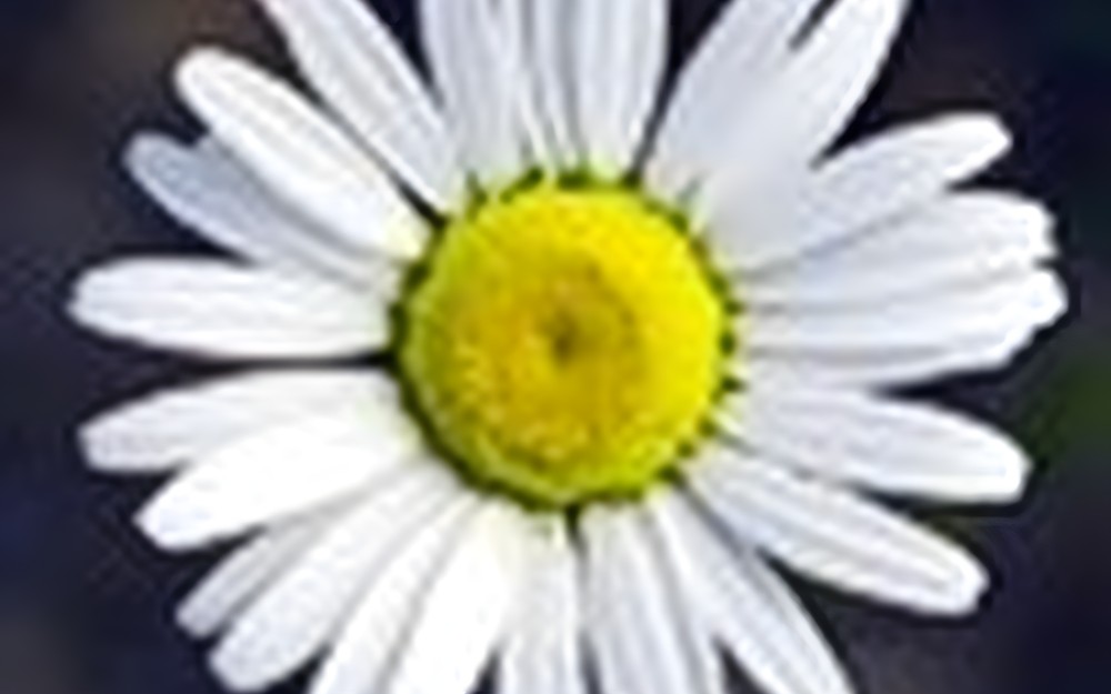 7 maja - zmiana godzin