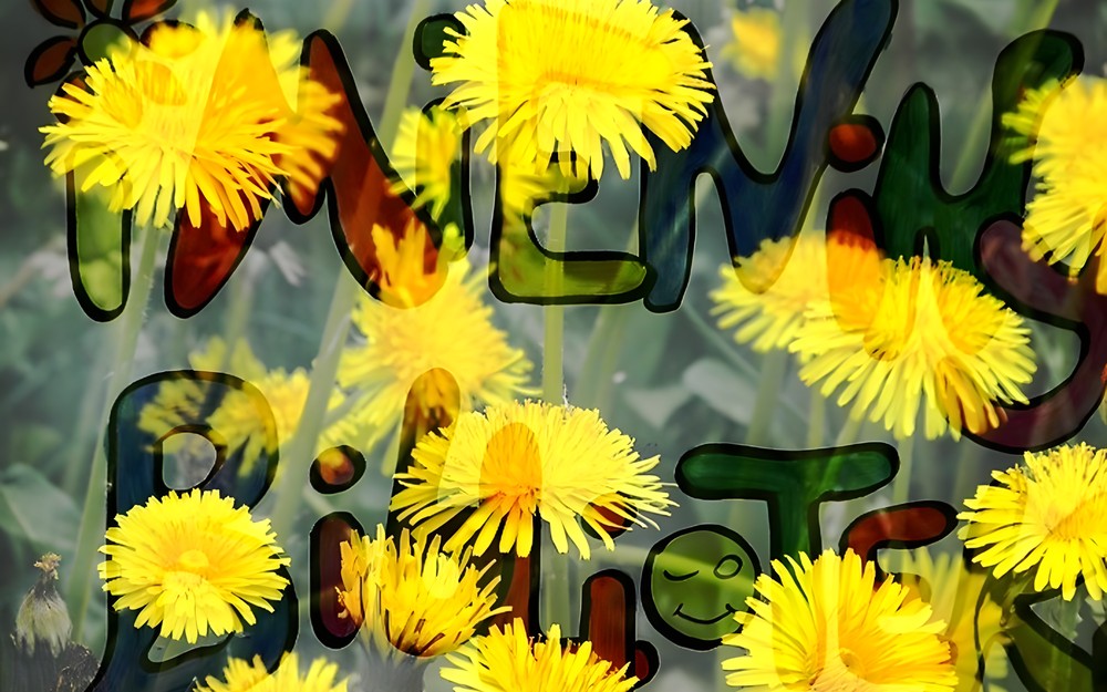 PIERWSZAKI W BIBLIOTECE