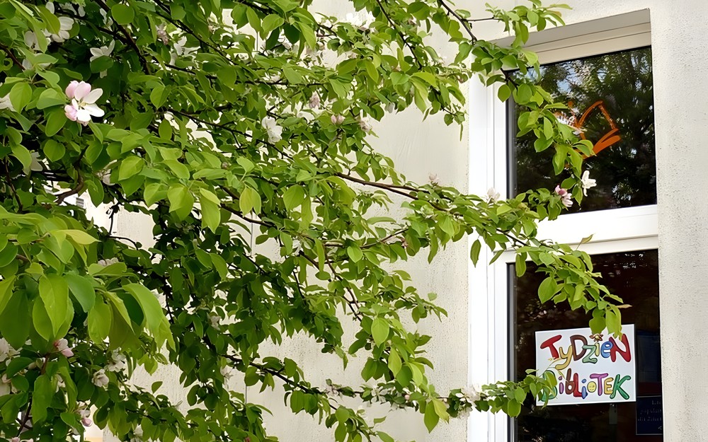 JEŚLI KTOŚ MYŚLI...