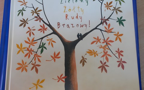 Okładka książki "Zielony, żółty, rudy, brązowy"  Małgorzaty Strzałkowskiej