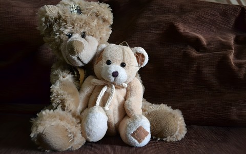 Dwa pluszowe misie siedzą na kanapie