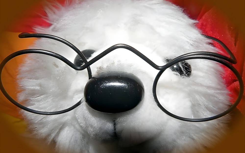 Misiowe atrakcje dla MOLIKÓW i nie tylko