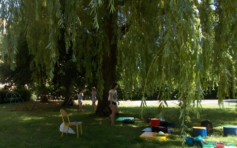 Ogrodaowa wierzba przyciąga swoim rozłożystym cieniem