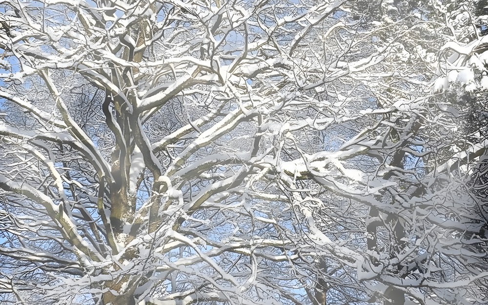 Ferie zimowe w Baśnioborze