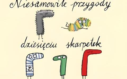 Okładka książki "Niesamowite przygody dziesięciu skarpetek"