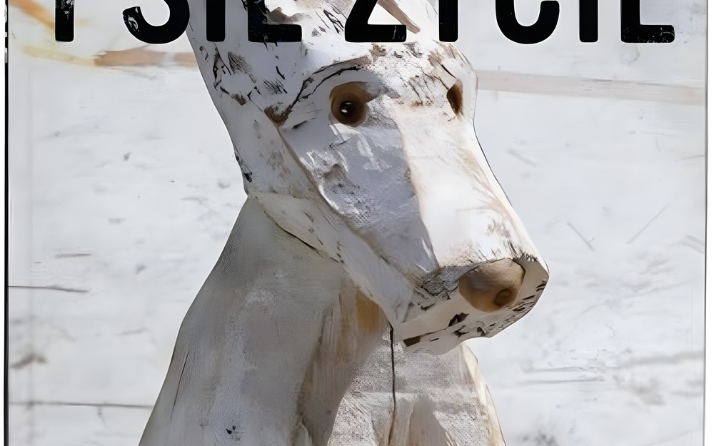 MDKK - „Psie życie”