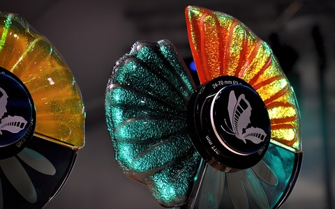 Na zdjęciu widać fragment "Motyli:2019