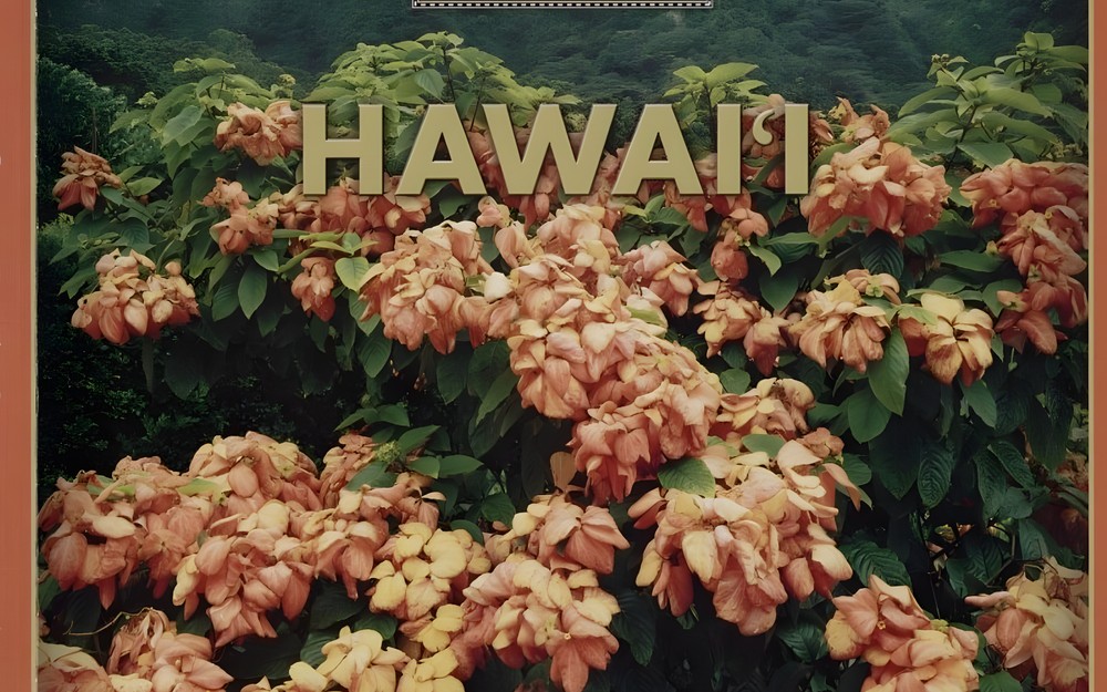 Hawaje w KBP