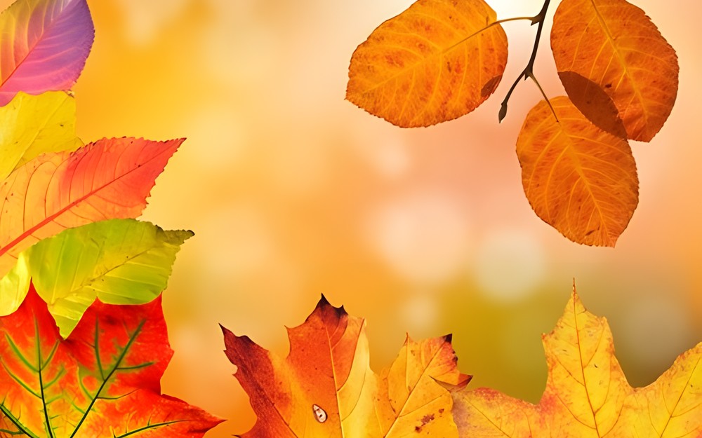 autumn-1649362340.jpeg