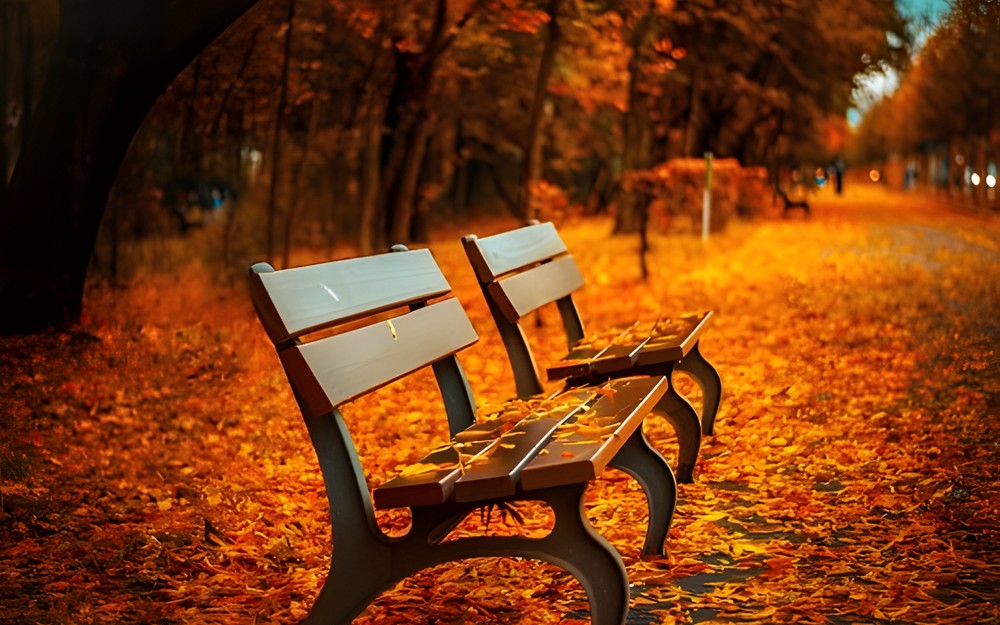 bench-560435340.jpeg