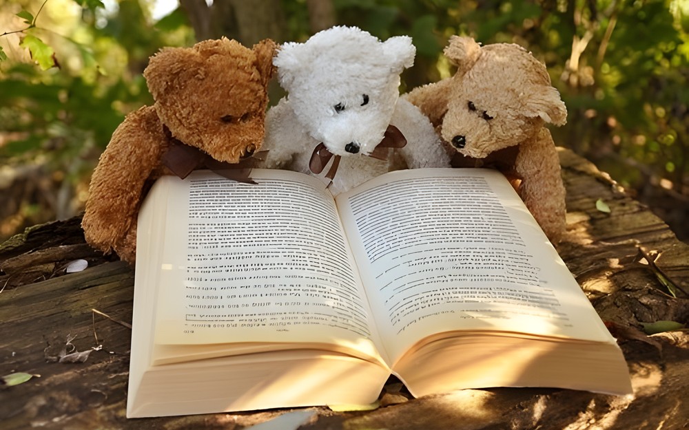 teddy-bear-2855982340.jpeg