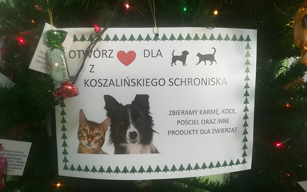 NA ZDJĘCIU NAPIS
