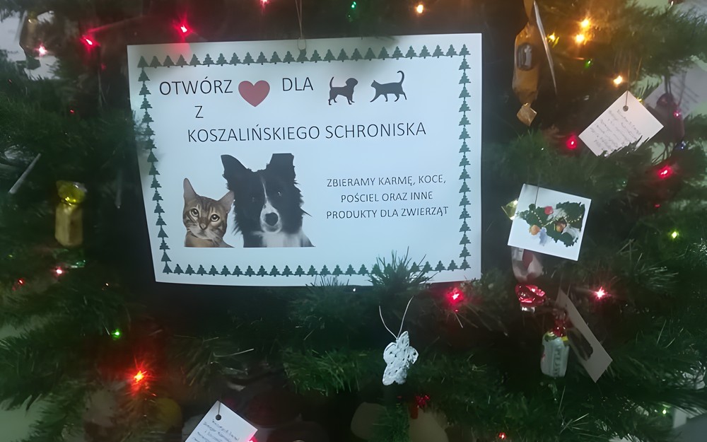 NA ZDJĘCIU DARY OD CZYTELNIKÓW
