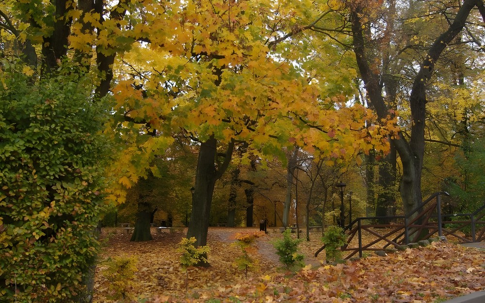 Jesienny koszaliński park