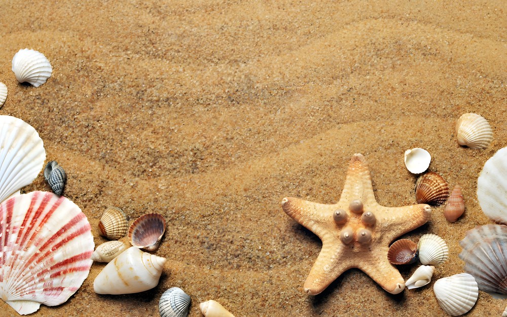 https://pixabay.com/pl/photos/morze-piasek-wybrze%C5%BCe-beach-1337565/