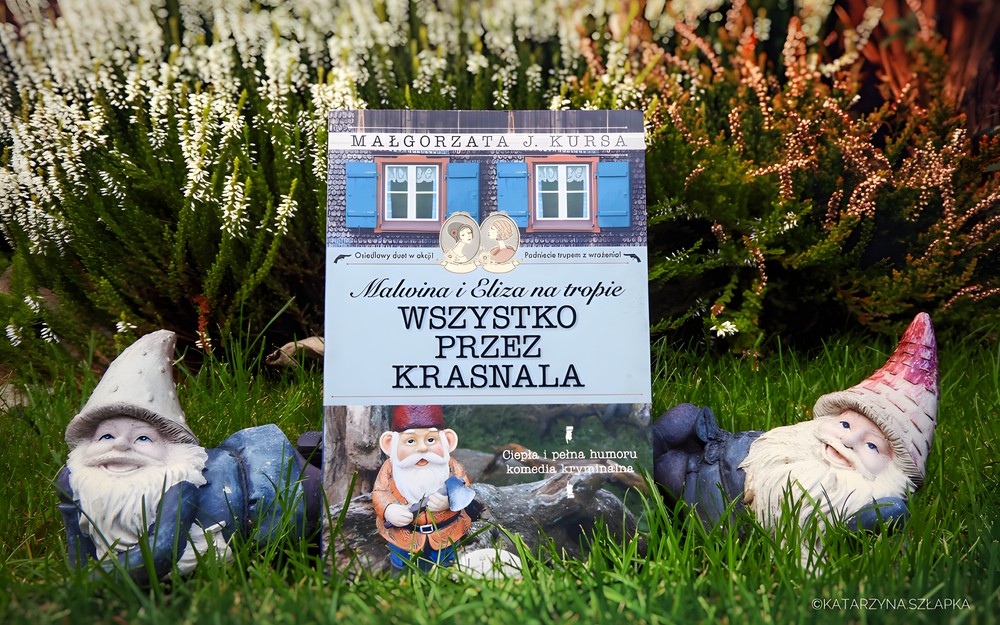 zdjęcie książki Wszystko przez krasnala