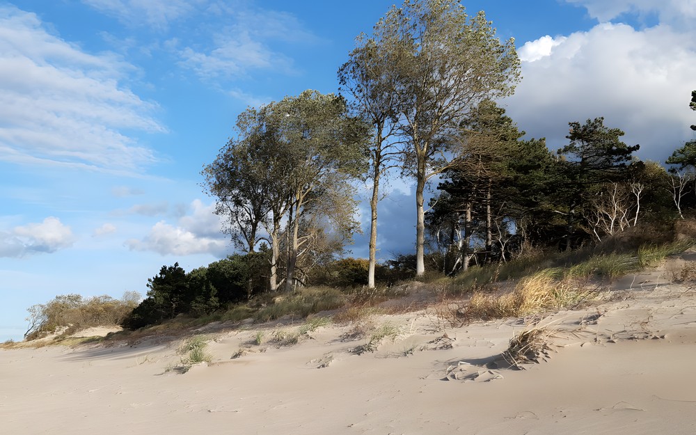 Tytuł: Nadmorska widokówka, Autor: Michał Pietruszyński.