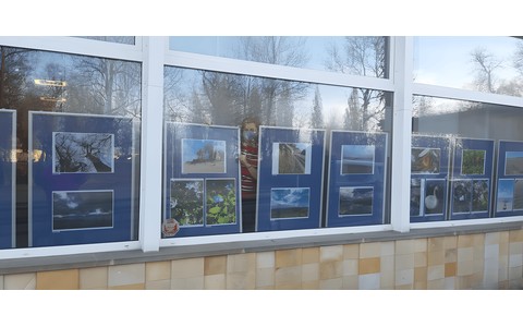 W oknach Galerr Regio KBP (widok z zewnątrz budynku) widnieją plansze z wyróżnionymi fotografiami przyrody.