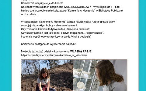 Kamienie w kieszenie - plakat