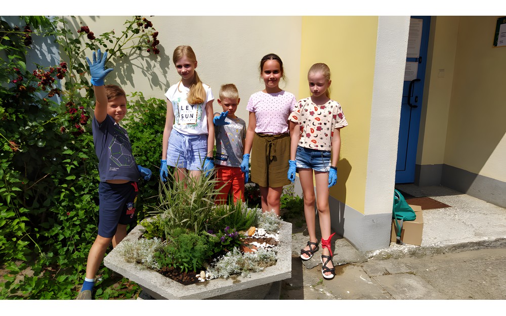 Dzieci stoją wokół gazonu, który same obsadziły.