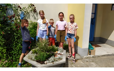 Dzieci stoją wokół gazonu, który same obsadziły.