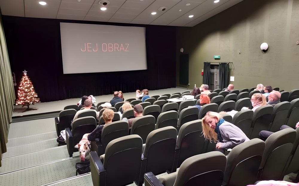 Widownia przed pokazem filmowym.