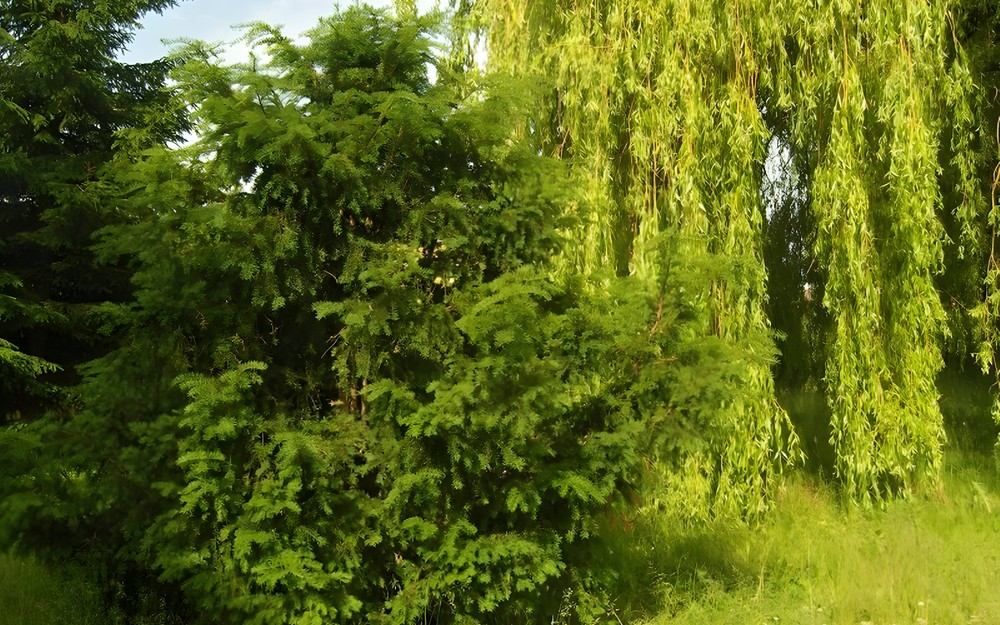„Pamiętajcie o ogrodach”