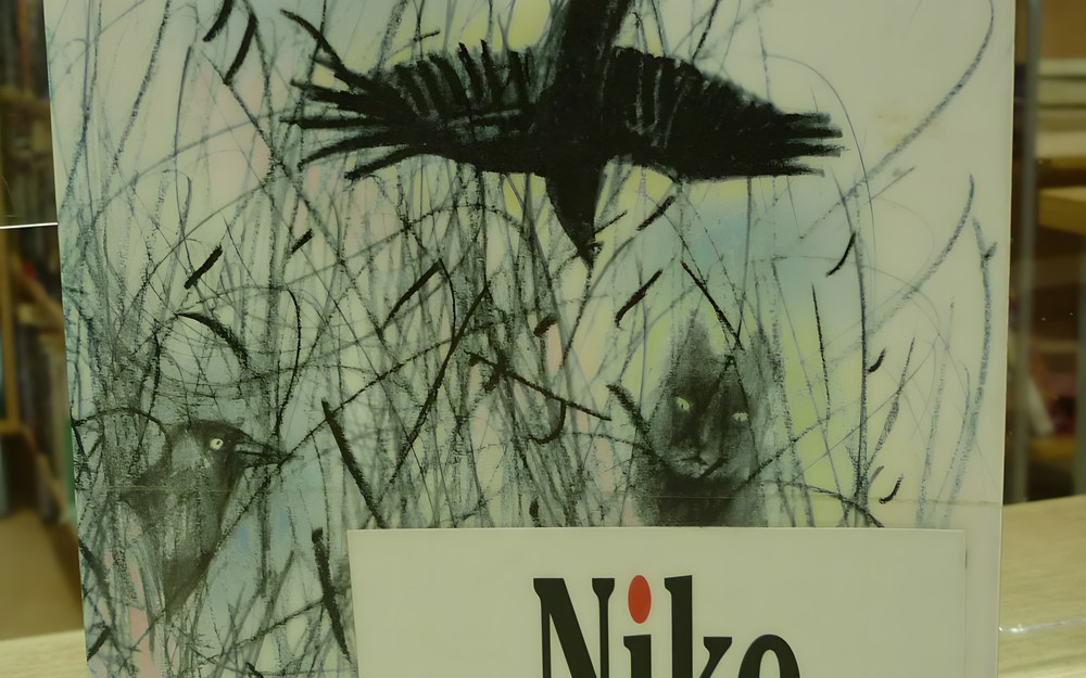 na zdjęciu książka "Zachód słońca w Milanówku"