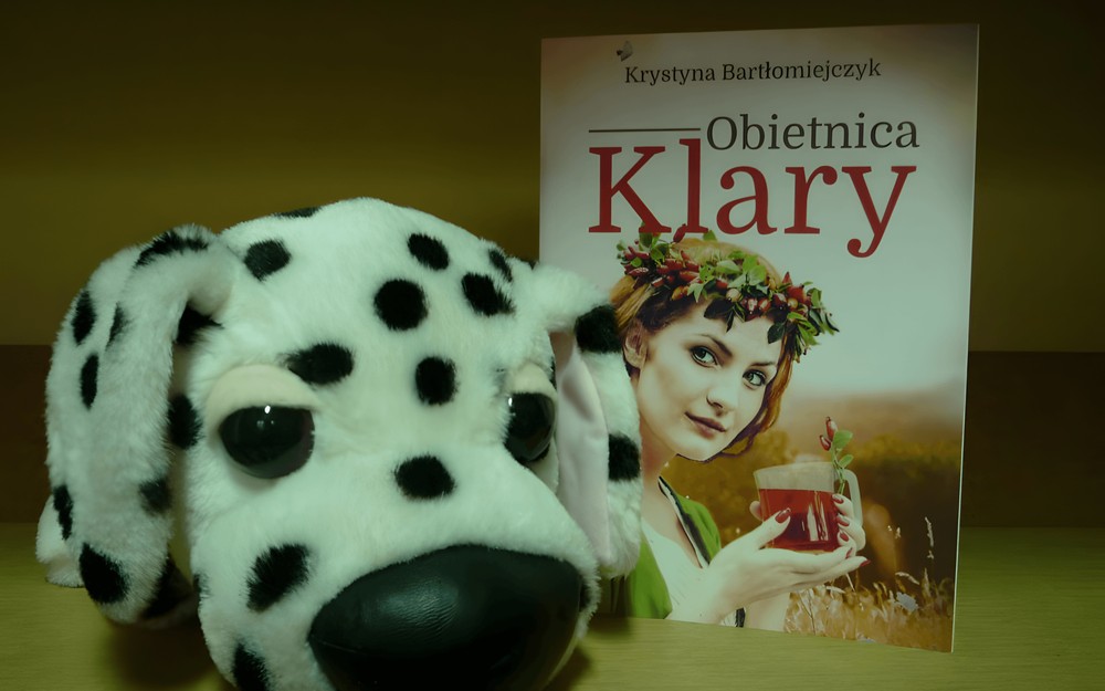na zdjęciu książka